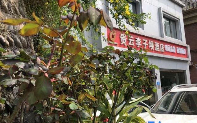 Chongqing Guiyun Liziba Hotel (Liziba Light Rail Station)