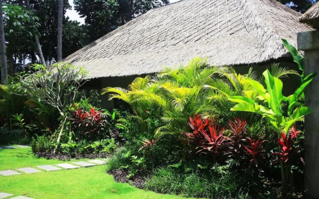 The Hidden Paradise Ubud