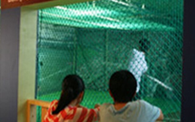 Welli Hilli Park