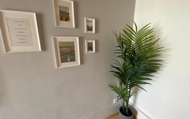Downtown Flat under Spilberk Castle