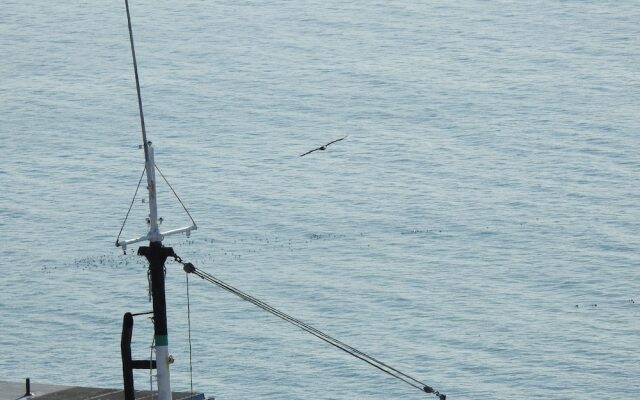 Alaska Adventure Cabins