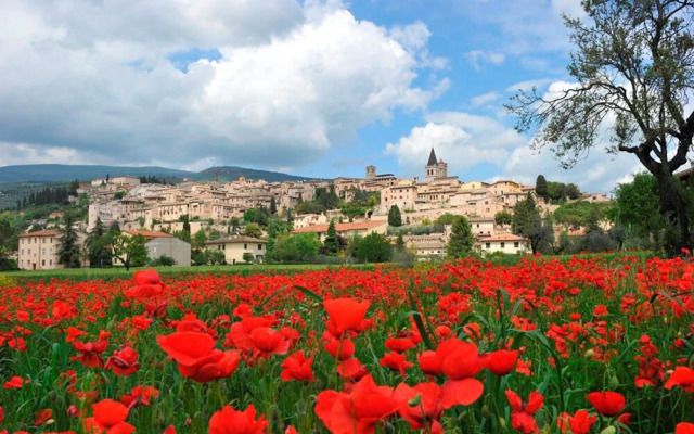 Pearl Apt City Center