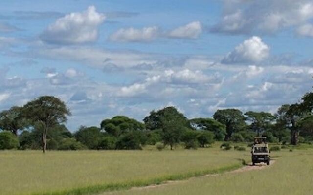 Whistling Thorn Tented Camp