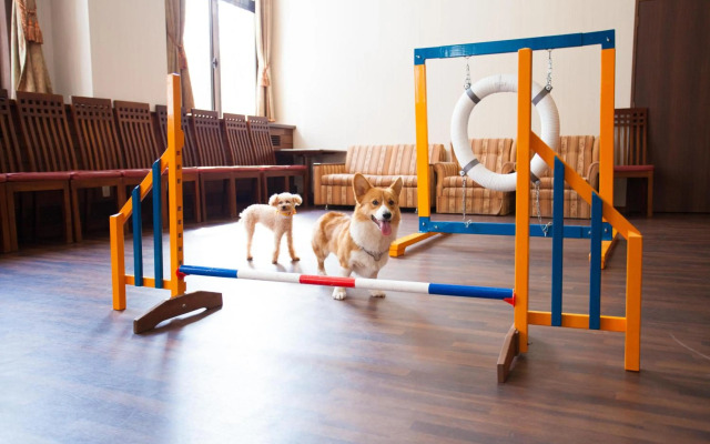 Izumigo Takayama Dog Paradise Hotel