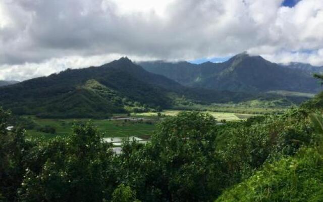 Cliffs at Princeville #3201