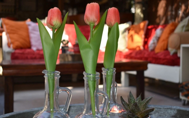 Nensie'S Boutique Hotel