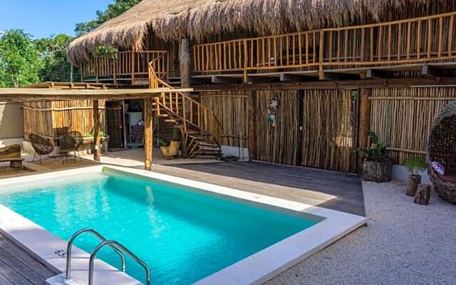 Jungla y Estrellas K AAX EK