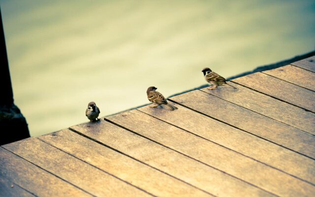 D Tunjung Resort & Spa