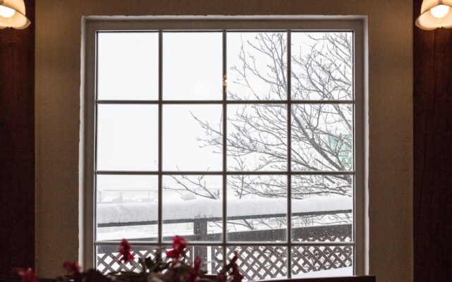 HDO Luxury Log House