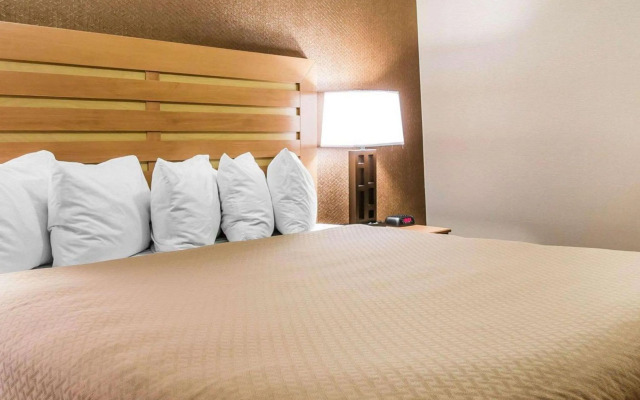 Quality Inn & Suites Warren - Detroit