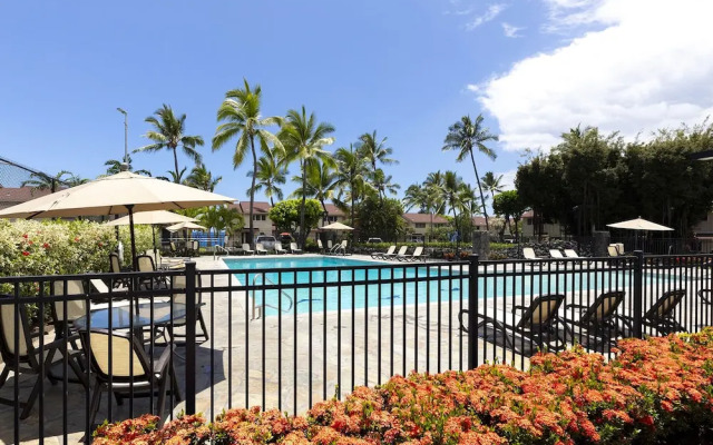 Plan Your Hawaii Vacay at Grace's Oasis!