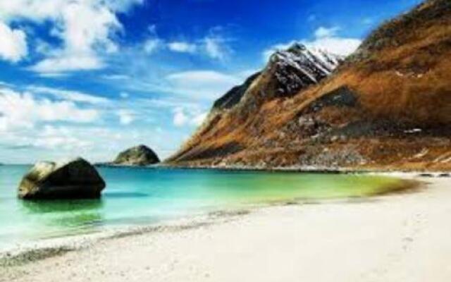 Vevika Lofoten