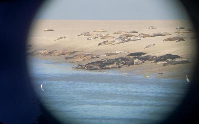 Appartement proche Mer