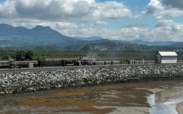 Estuary Escape