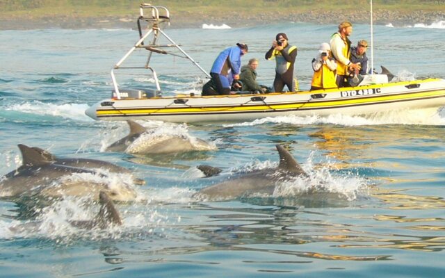 Cape St Francis Resort