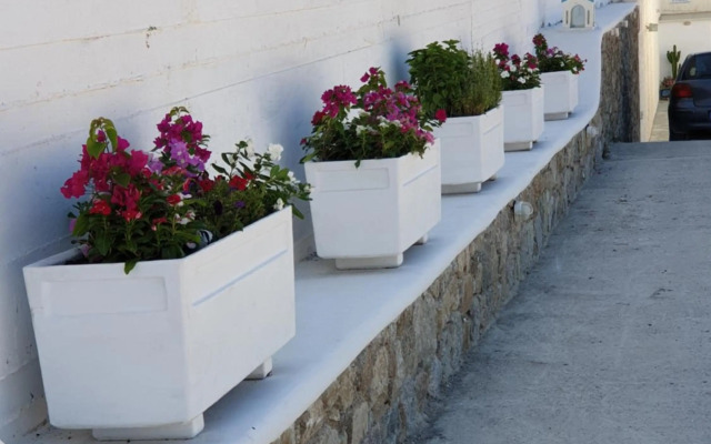 Mykonos Pro-care Suites