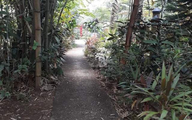 Samana Tropical Village