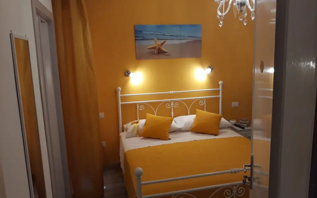 B&B Medusa