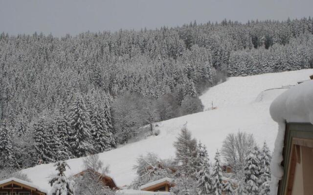 Ski-in / Ski-out Chalet Kriekels by Alpen Apartments