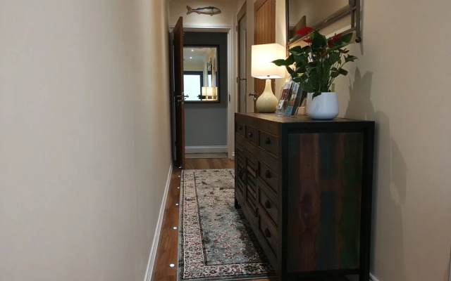 Blue Mackerel - Adults Only