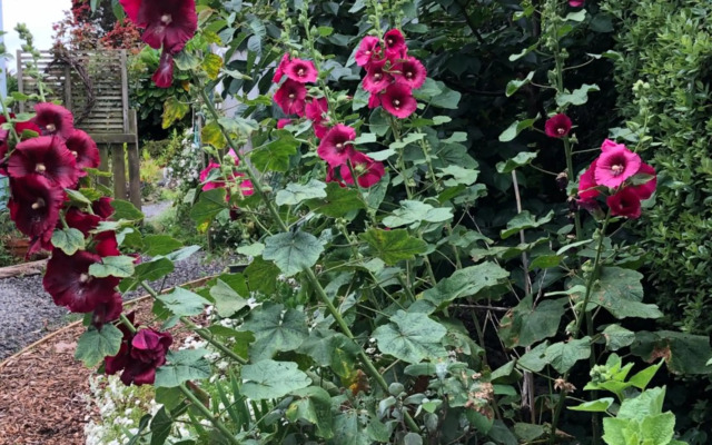 @Taradise-Opunake - eco-friendly Coastal hideaway