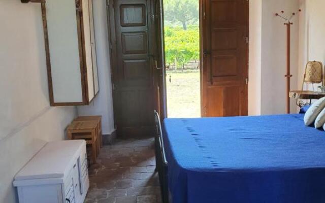 Suite in vigneto