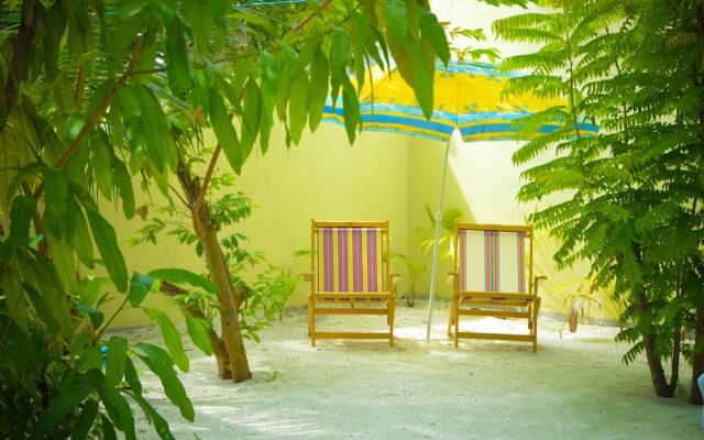 Maldives Guests House Whale Shark Inn