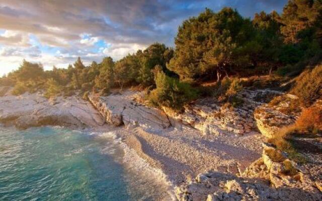 Apartments Istra Nielsen