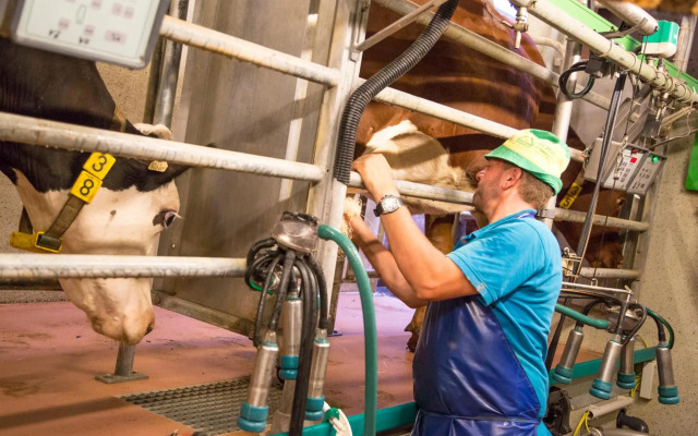 Bauernhof Vorderklinglhub &Landhaus Olga