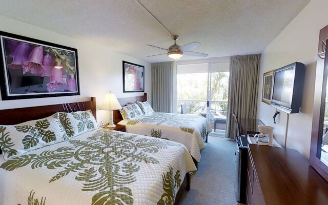 Maui Banyan Q204 by RedAwning