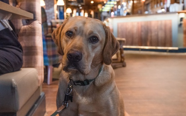 The Commissioners Quay Inn - The Inn Collection Group