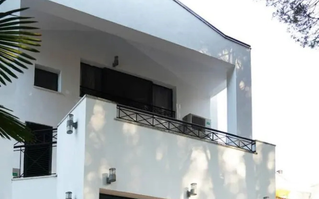 The Beachfront Villa