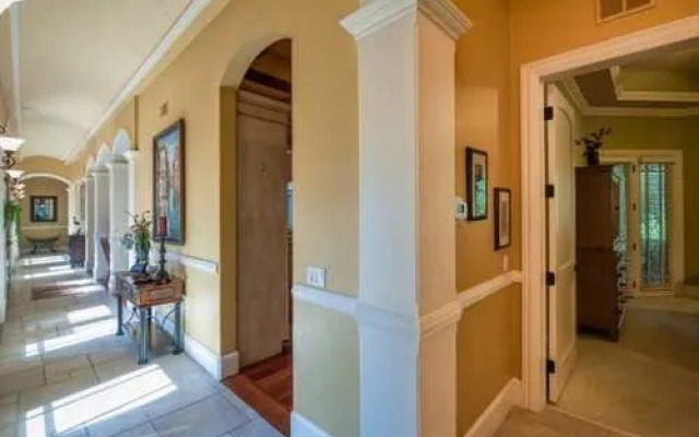 Pelican by RedAwning