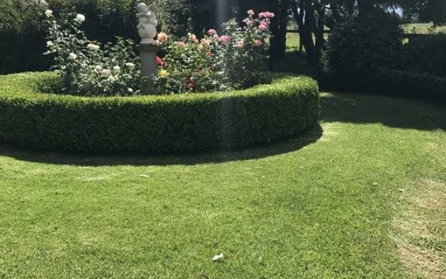 The Willows B n B