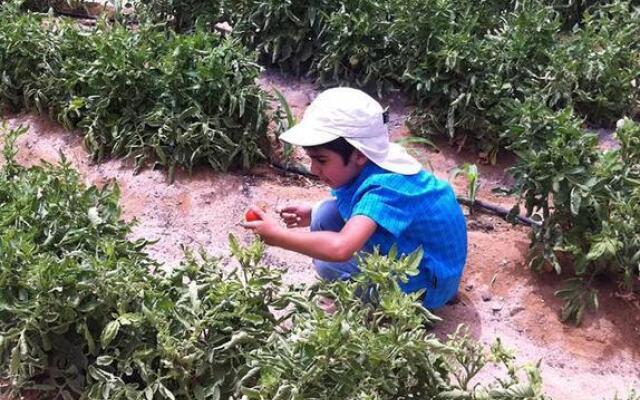 Habiba Organic Farm