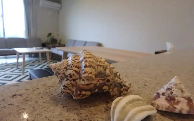 Longvacation Okinawa 301