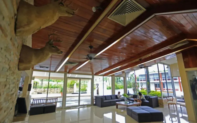 Hotel Plaza Palmas