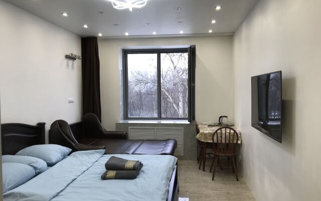 DZirconia Elagin Island Apartments