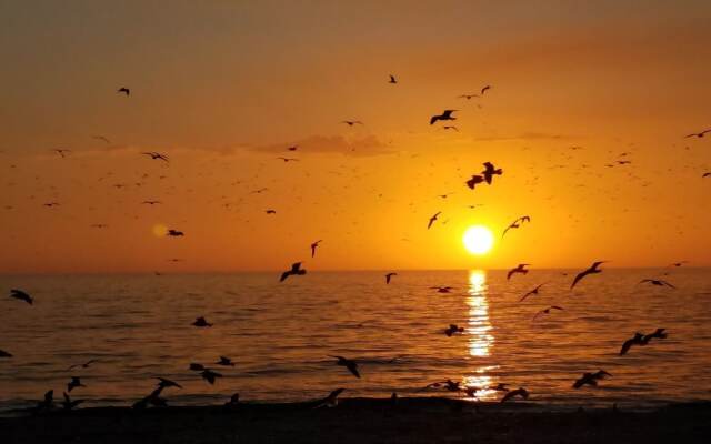 Escape Coastal Resort on Casey Key