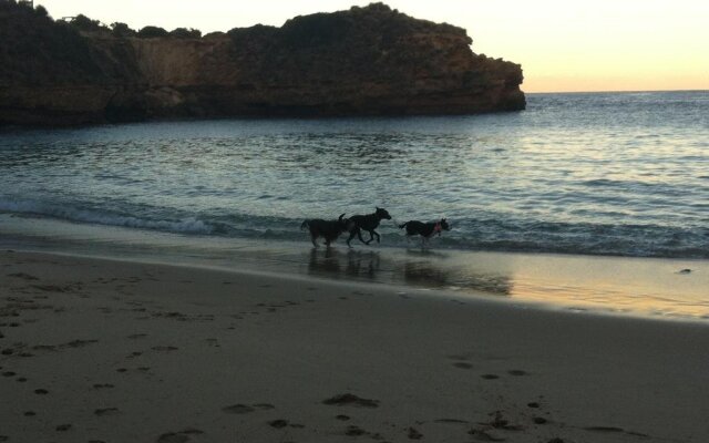 Bayplay Cottage And Portsea Apartments