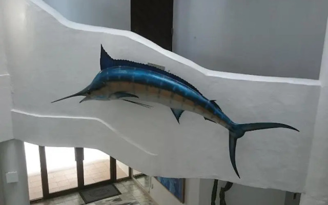 Eef Condominium Kumejima