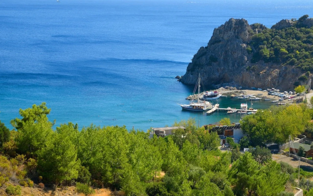 Hayitbükü Ahşapevleri̇