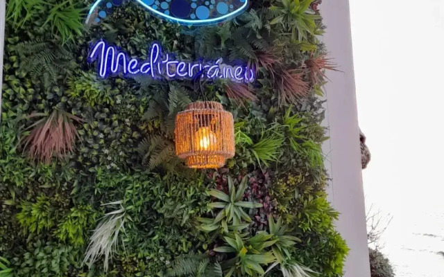 Mediterrâneo Madeira