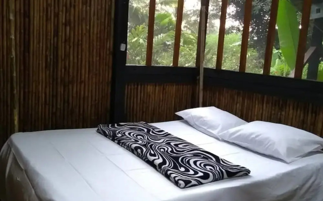 Rio Mar Bahía Solano Choco Colombia