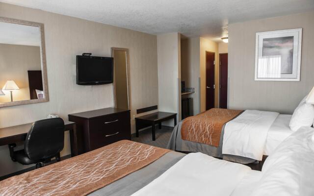 Comfort Inn & Suites Muncie