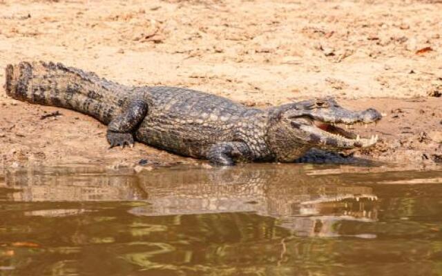 Pantanal Mato Grosso Hotel