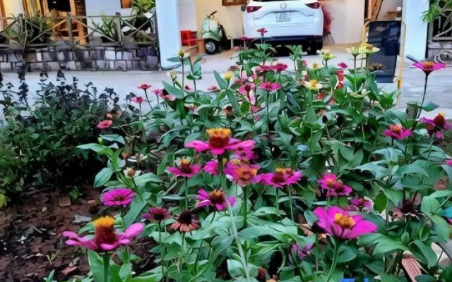 Sakura Mura Homestay Phu Quoc – Outside – Phu Quoc