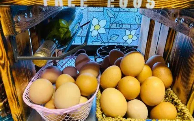 Kumamoto Farm Stay