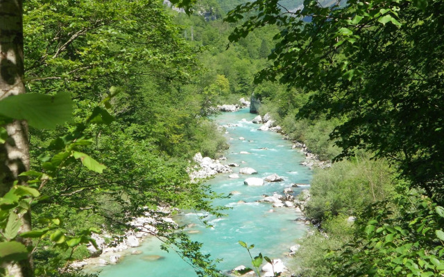 Apartment Zonir with sauna