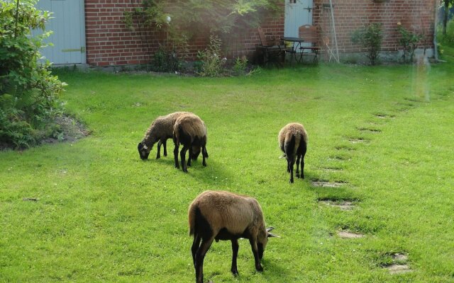 Spacious Apartment With Garden in Boisendorf